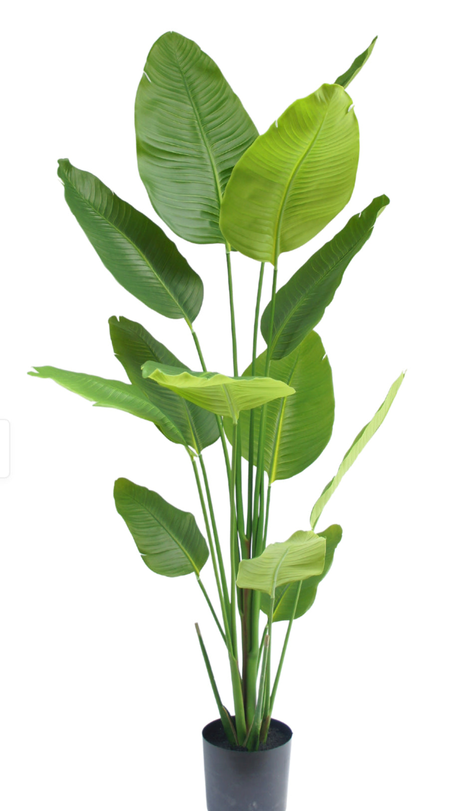 Kunstplant Strelitzia 180 cm