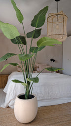 Kunstplant Strelitzia 180 cm