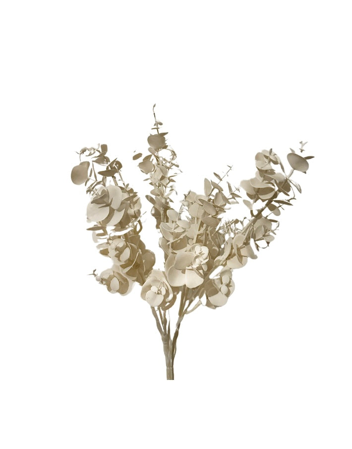 Kunst eucalyptus bos | Wit