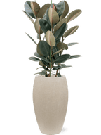 Bloempot Baq Raindrop | Beige