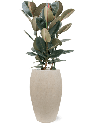 Bloempot Baq Raindrop | Beige