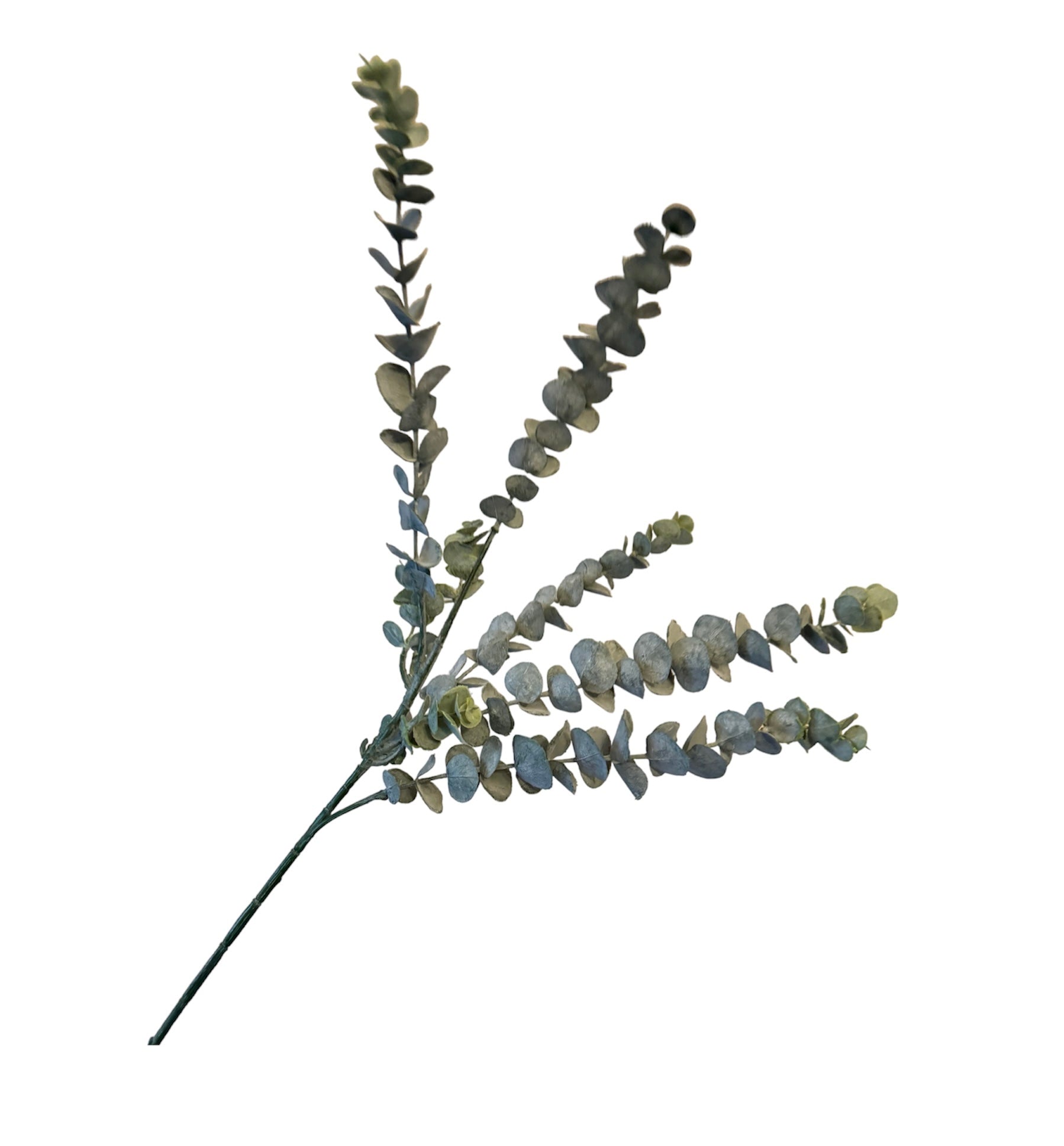 Kunsttak eucalyptus | Groen
