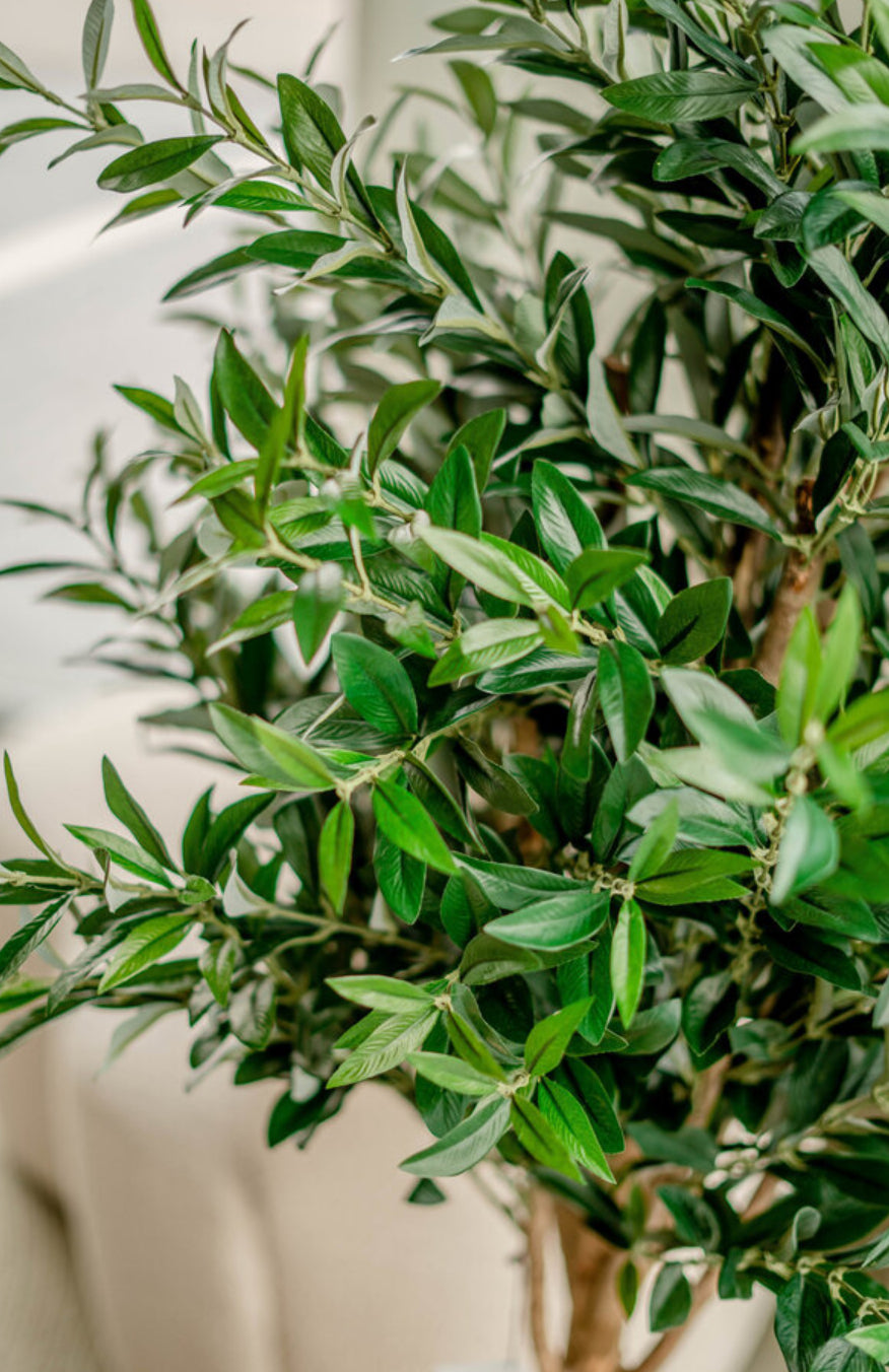 Kunst Olijfboom 150 cm