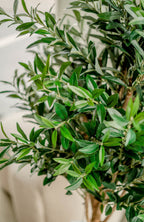 Kunst Olijfboom 150 cm