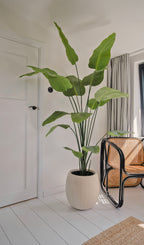 Kunstplant Strelitzia 180 cm