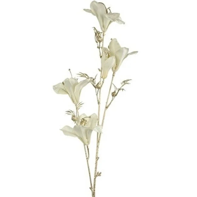 Kunsttak Bauhinia | Crème