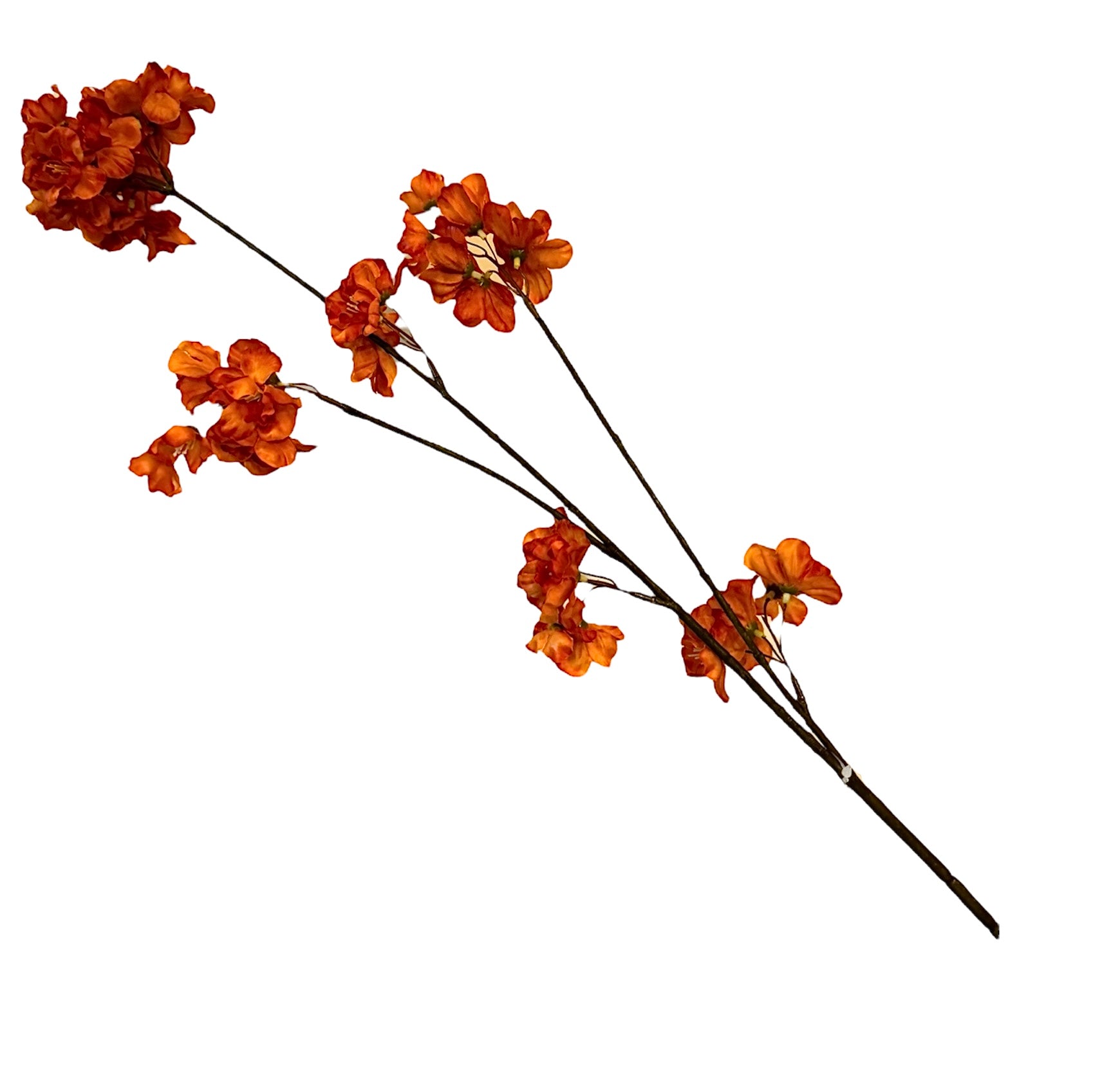 Kunsttak Japanse bloesem | Oranje