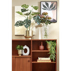 Vaas Feline | Transparant