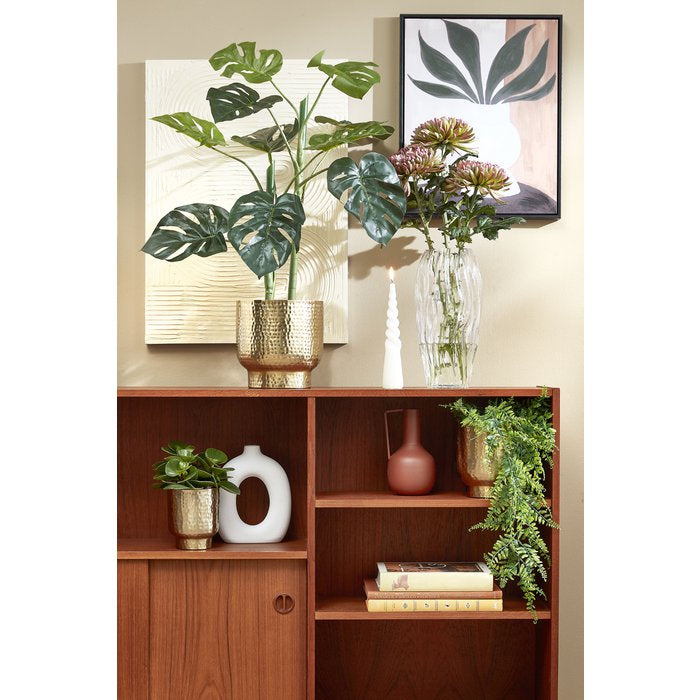 Vaas Feline | Transparant