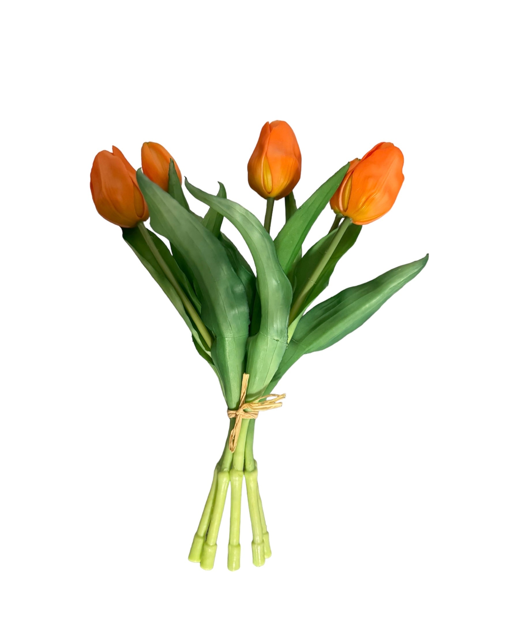 Kunst tulpenset | Oranje