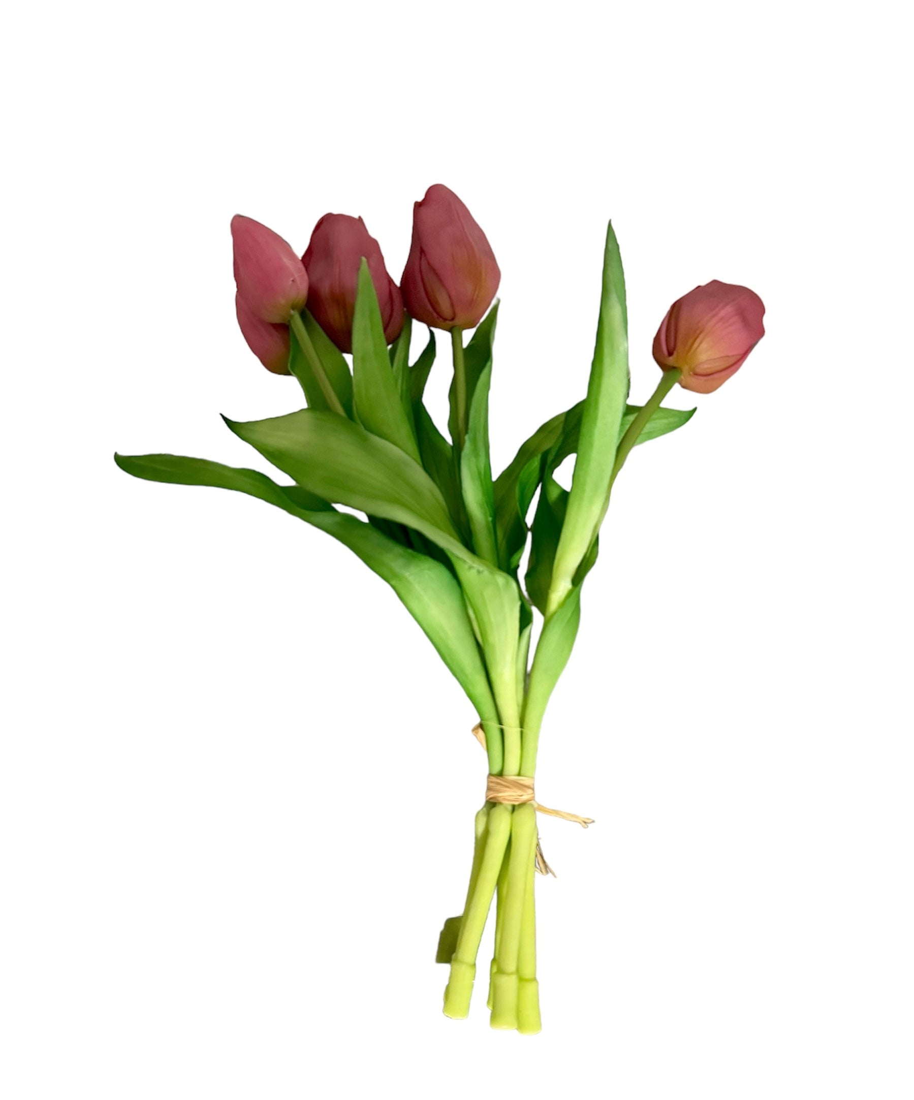Kunst tulpenset | Paars