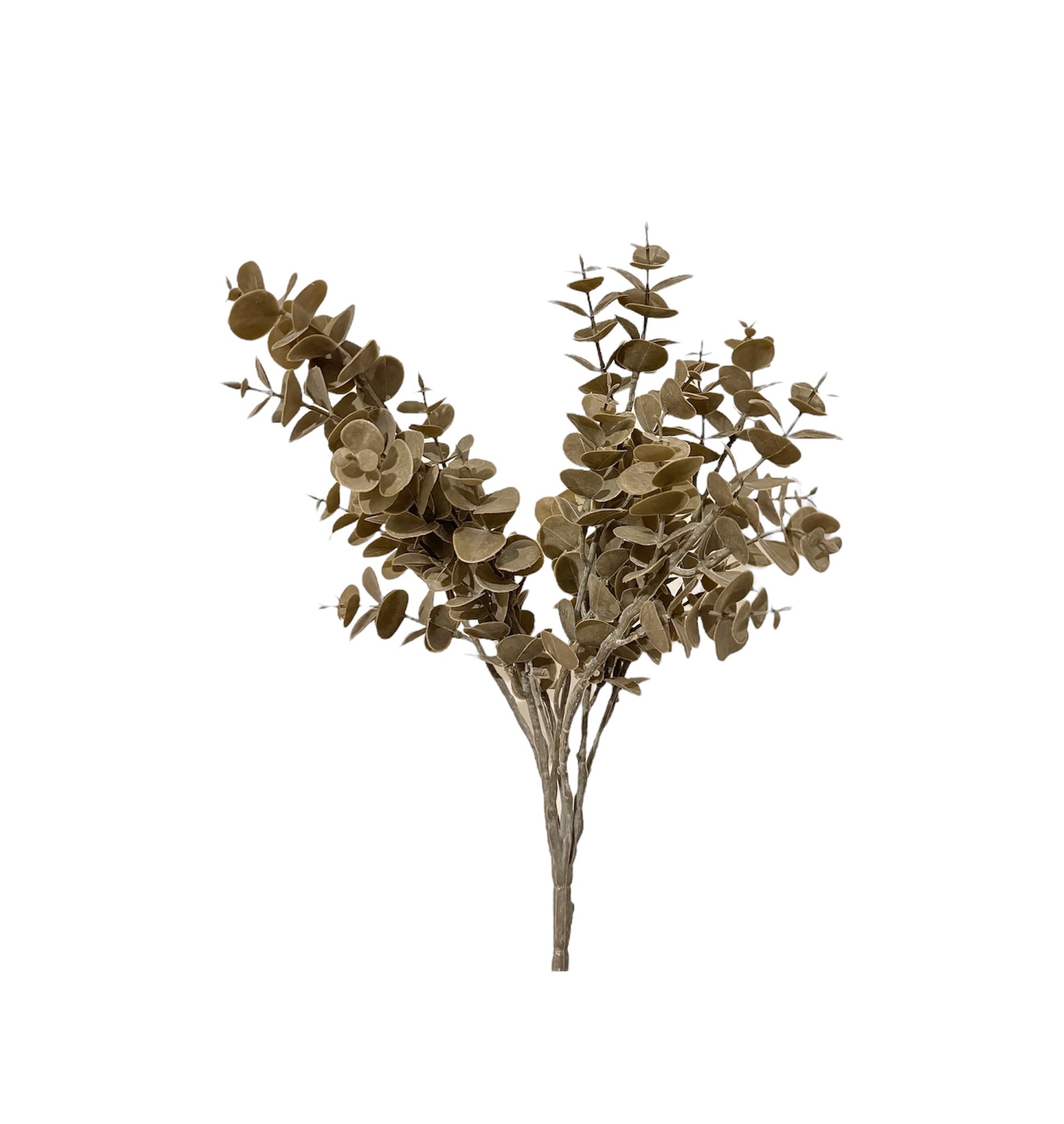 Kunst eucalyptus bos | Greige