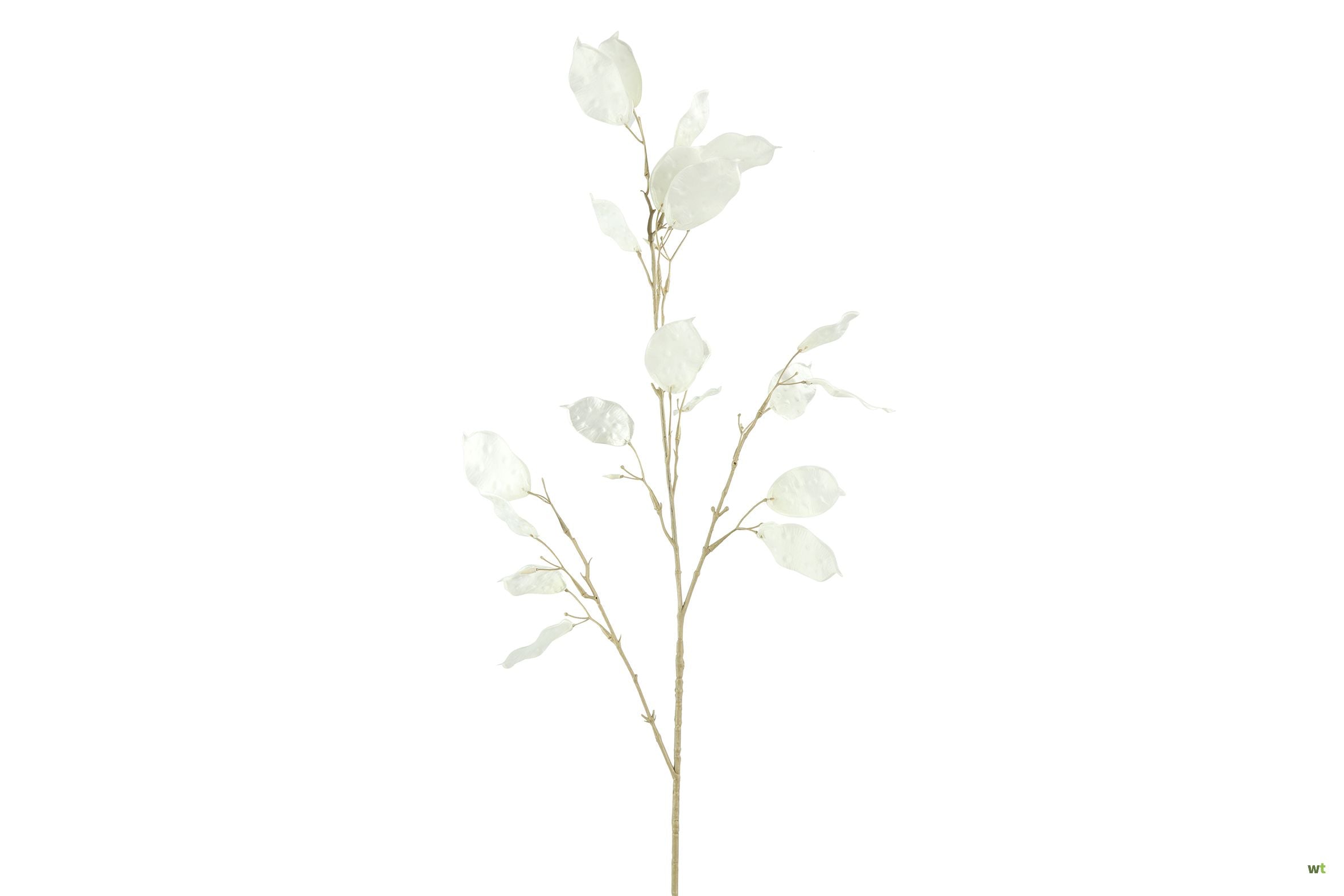 Kunsttak Lunaria | Wit