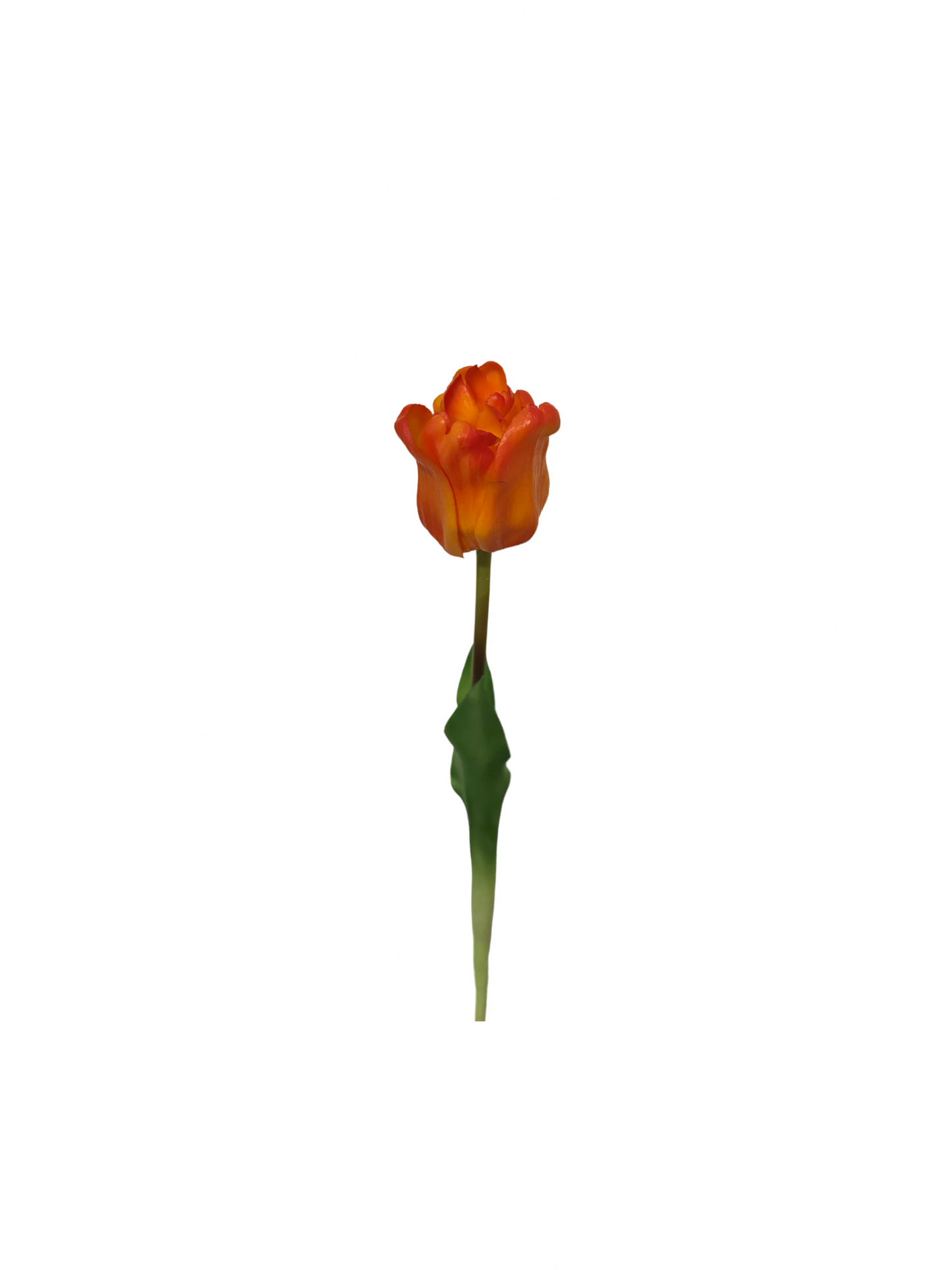 Kunst Papagaai tulp real touch | Oranje